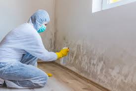 Best Mold Damage Restoration  in Maple Park, IL