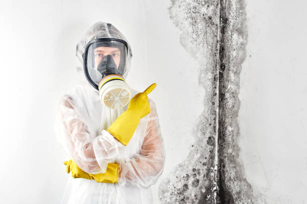 Best Mold Prevention Services  in Maple Park, IL