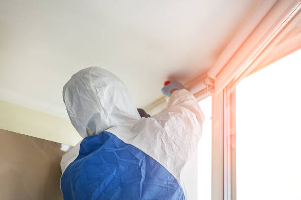 Environmental Consulting for Mold Prevention in Maple Park, IL